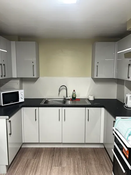 Kitchen sink and microwave