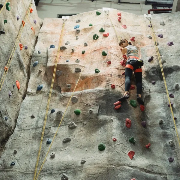 A person using the climbing wall at Wolf Mountain, wearing a harness for safety