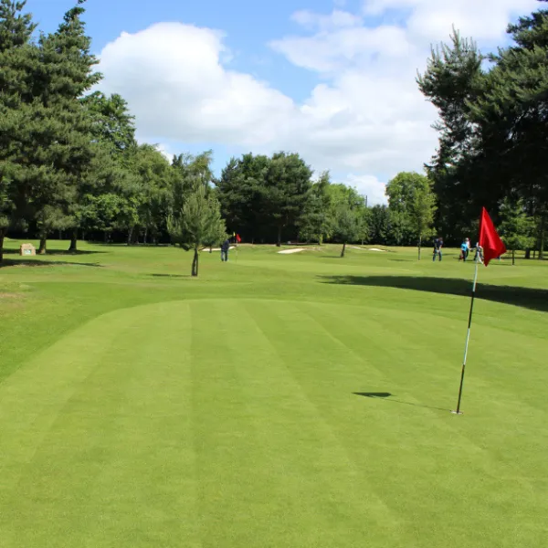 A large golfing area with red flags placed by the holes