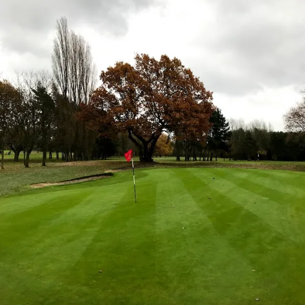 Walsall golf course: a red flag at the hole, the green mowed in neat lines, bunkers and trees visible in the background