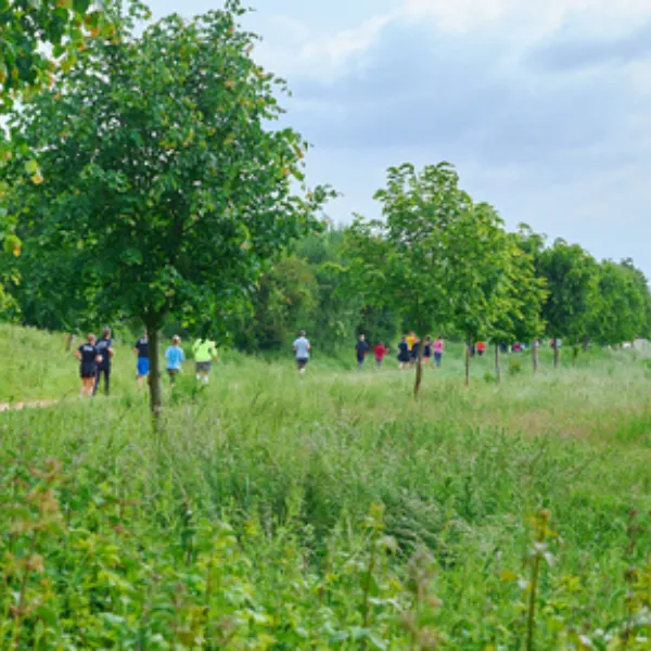A group of people in different high-visibility clothes running through a park