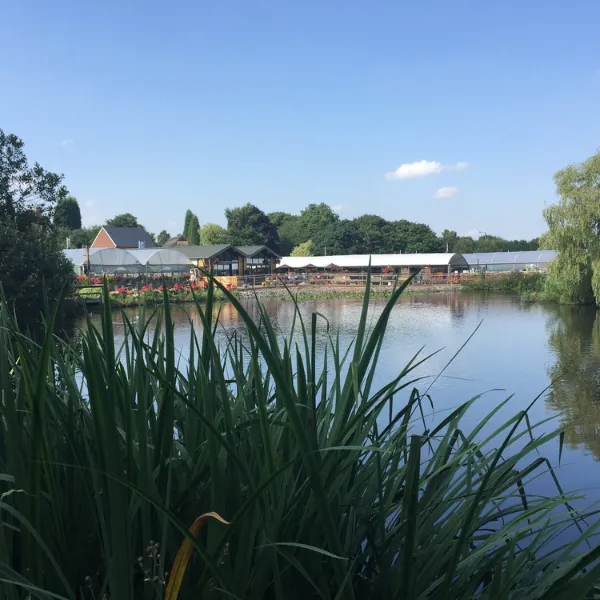 Bourne Pool, water photographed through tufts of tall grass, elongated buildings with sloped roofs on the other side of the water